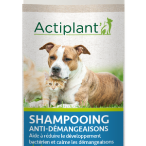 ACTIPLANT SHAMPOOING ANTI DÉMANGEAISONS 250ML