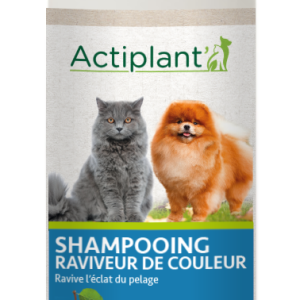 ACTIPLANT SHAMPOOING RAVIVE LES COULEURS 250ML