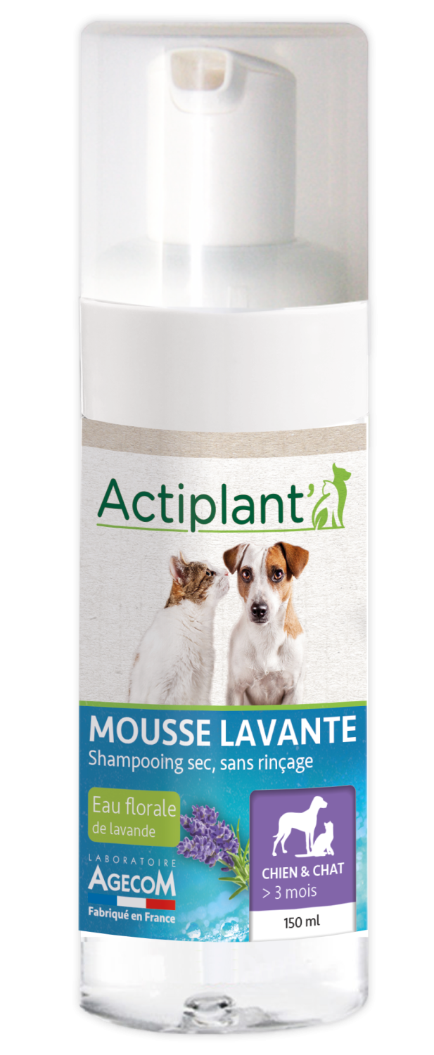 ACTIPLANT SHAMPOOING SEC MOUSSE 150ML