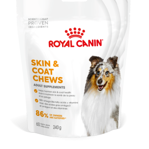 ADULT SKIN & COAT SUPPLEMENT 240G