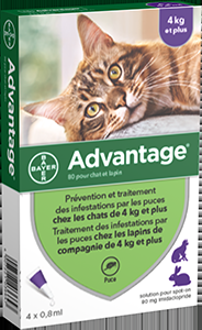 ADVANTAGE 80 PIPETTES POUR CHAT ET LAPIN (4-10KG) 4X0,8ML