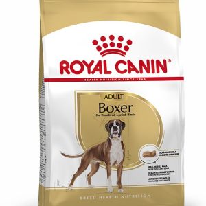 BOXER ADULT