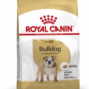 BULLDOG ADULT