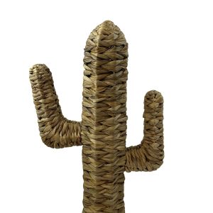 CACTUS EN JACINTHE D EAU H35CM
