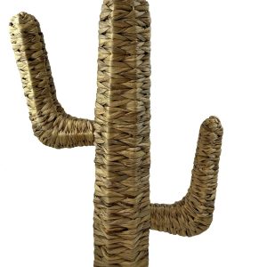 CACTUS EN JACINTHE D EAU H53CM