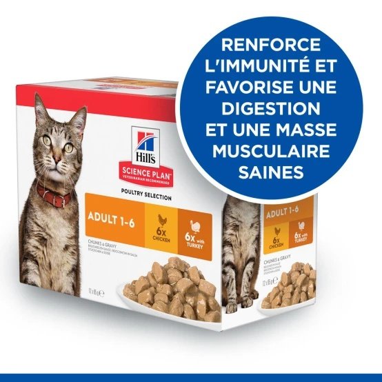 Chat Adult Multipack Poulet Dinde 12x85g – Image 2
