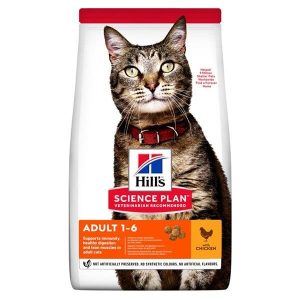 Chat Adult Poulet