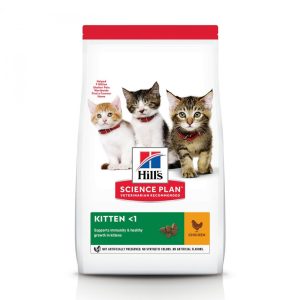 Chat Kitten Poulet