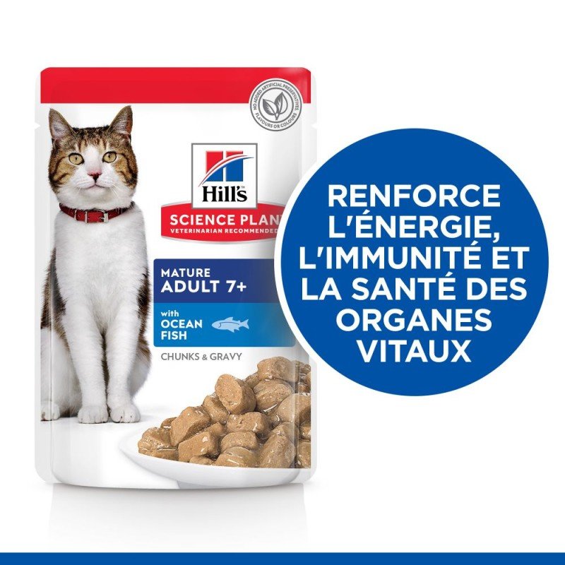 Chat Mature Adult MP Poulet Poisson 12x85g – Image 2