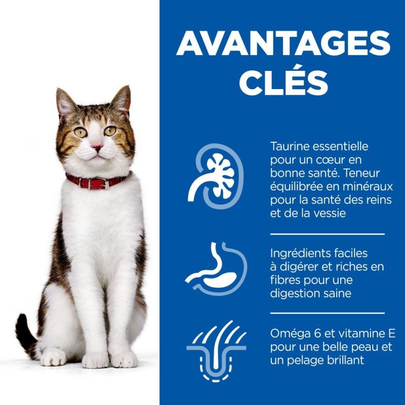 Chat Mature Adult MP Poulet Poisson 12x85g – Image 3