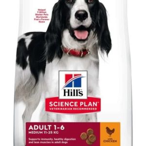 Chien Adult Medium Agneau & Riz