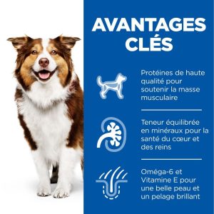 Chien Mature Adult Poulet Boite 370g