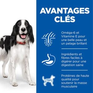 Chien Mature Boeuf Boite 370g