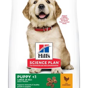 Chien Puppy Large Breed Poulet