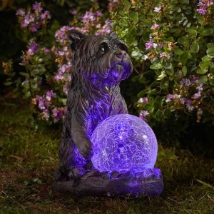 Chien Solaire