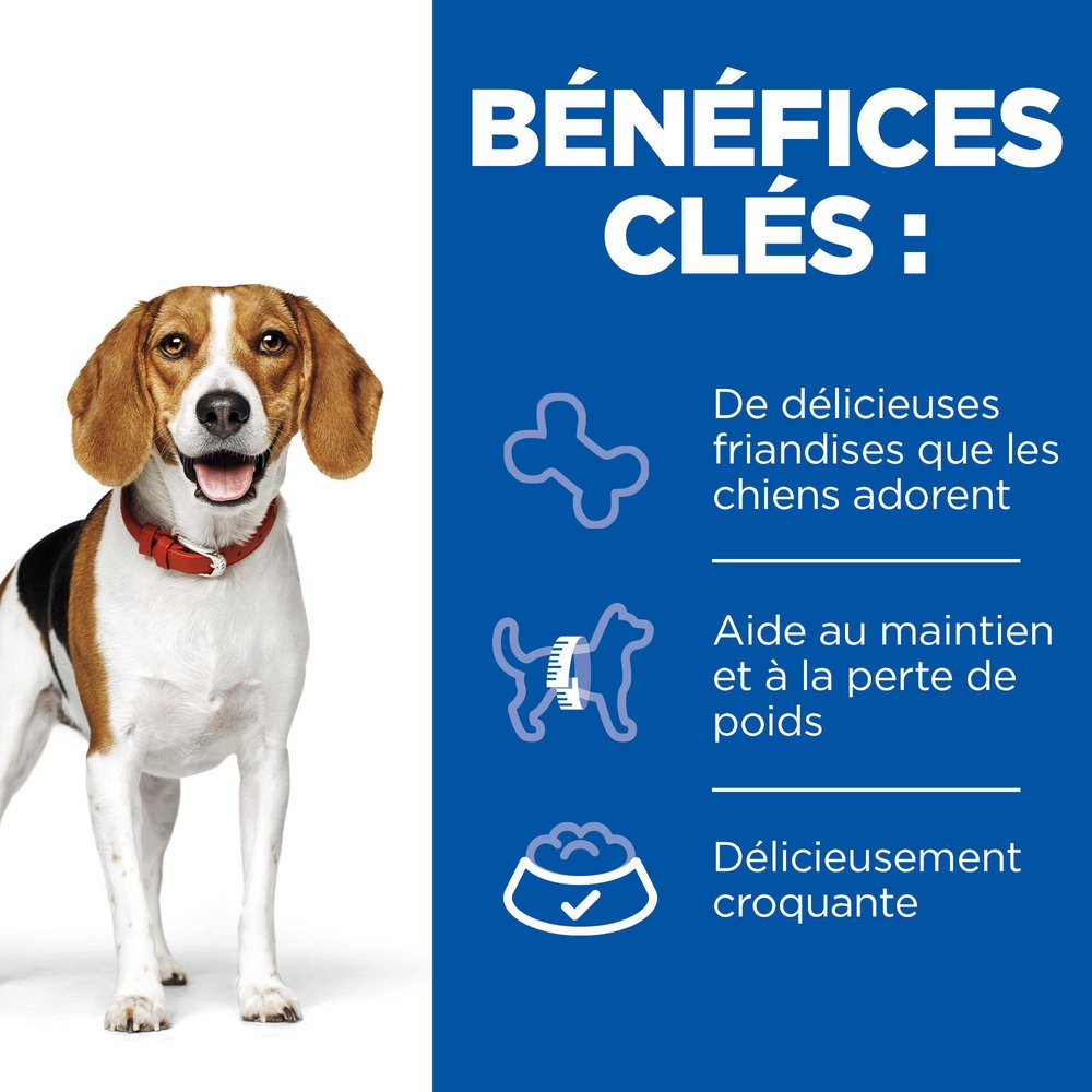 Chien treats Weight 220g – Image 2