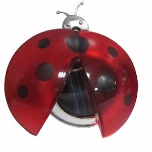 Coccinelle solaire