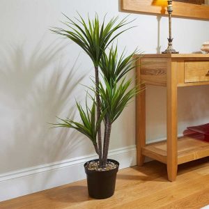 Dracaena 104,5 cm