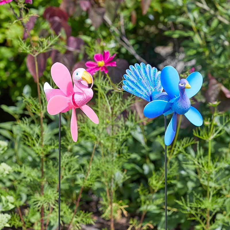 Flamant rose et paon – Image 3