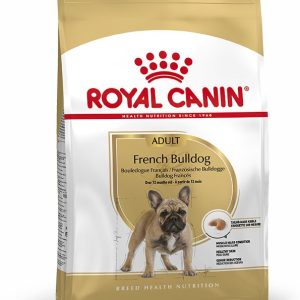 FRENCH BULLDOG ADULT