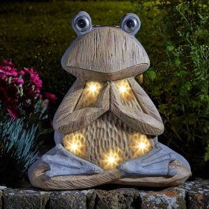 Grenouille Pierre de Bois Solaire