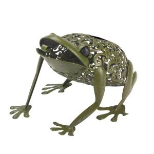 Grenouille Solaire