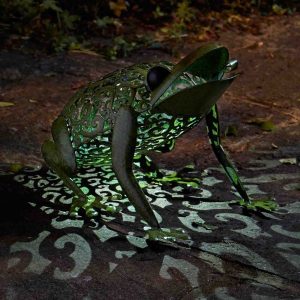 Grenouille Solaire