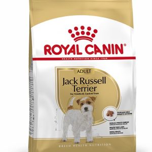 JACK RUSSELL ADULT