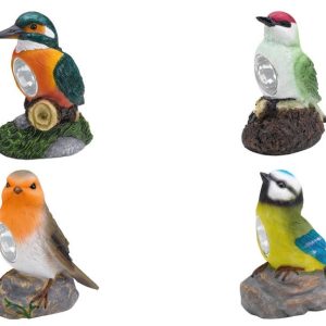 Oiseau Solaire