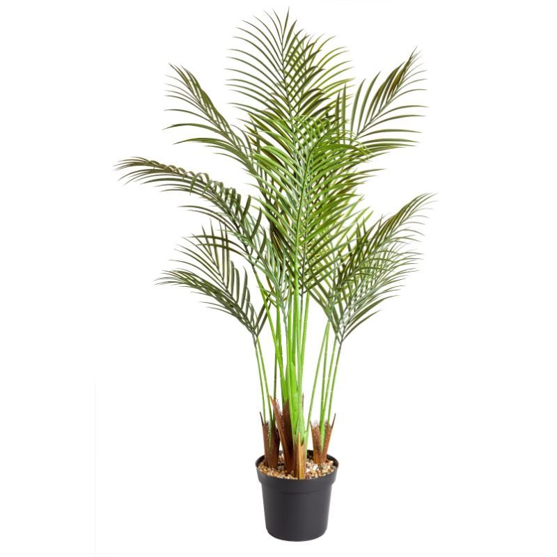 Palme Phoenix 124cm