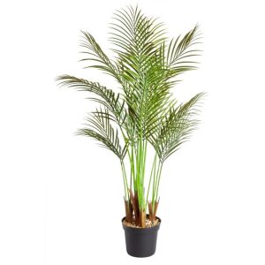 Palme Phoenix 124cm