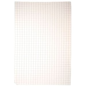 Panneau de Grillage 25mm x 25mm Maille