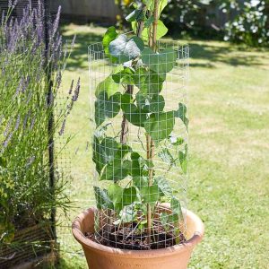 Panneau de Grillage 25mm x 25mm Maille