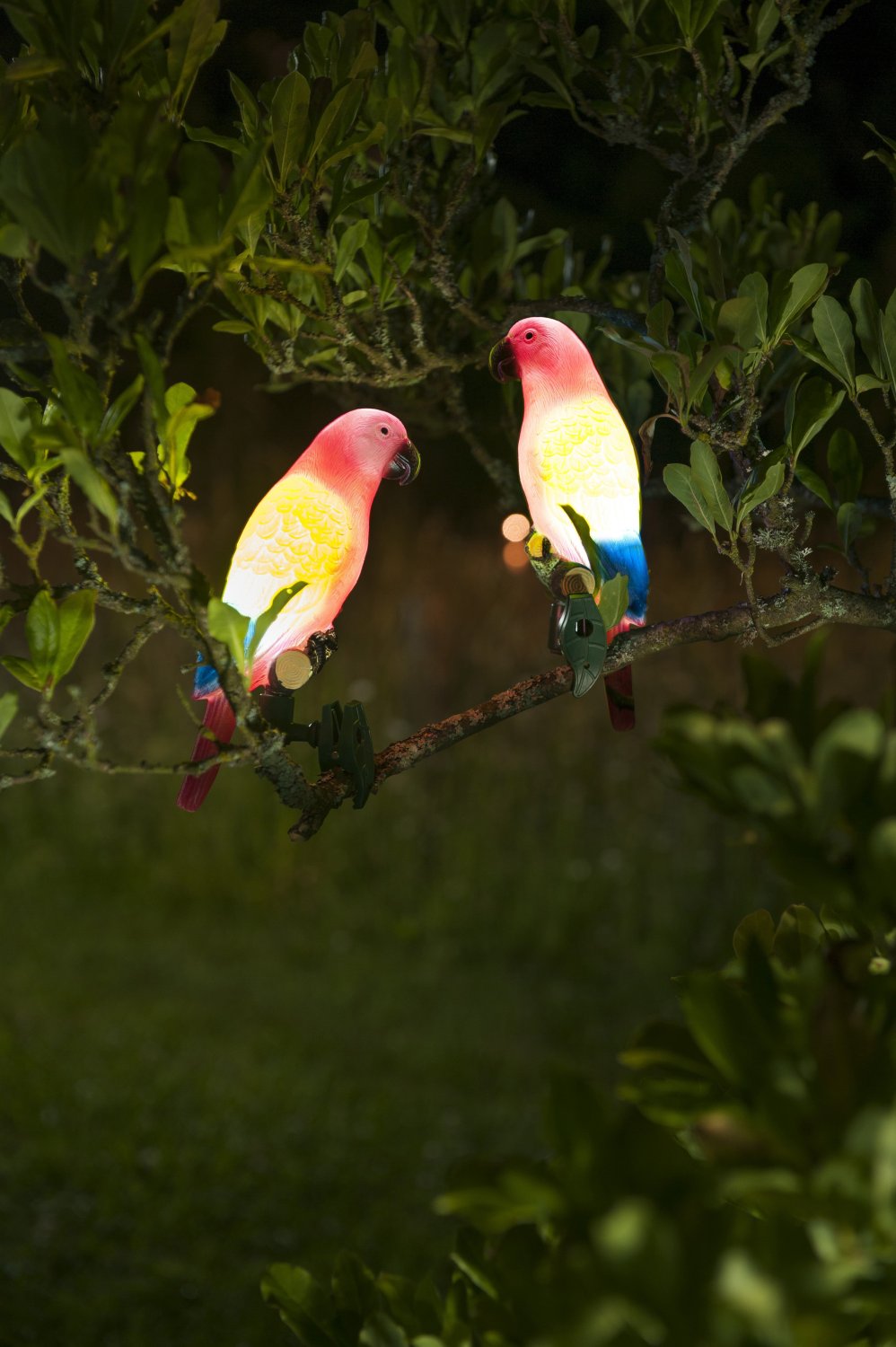 Perroquet à énergie solaire clipsable - ROUGE – Image 2
