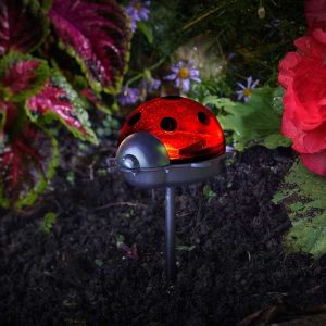 Piques coccinelles lumineuses Solaire