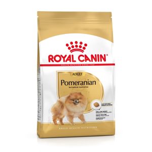 POMERANIAN 1,5KG