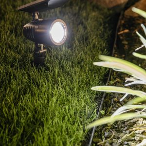 Spot solaire à planter 60 Lumens