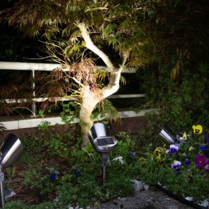 Spot solaire à planter inox brossé 30 Lumens