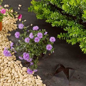 Tissu Anti Mauvaises Herbes – 15m x 1m