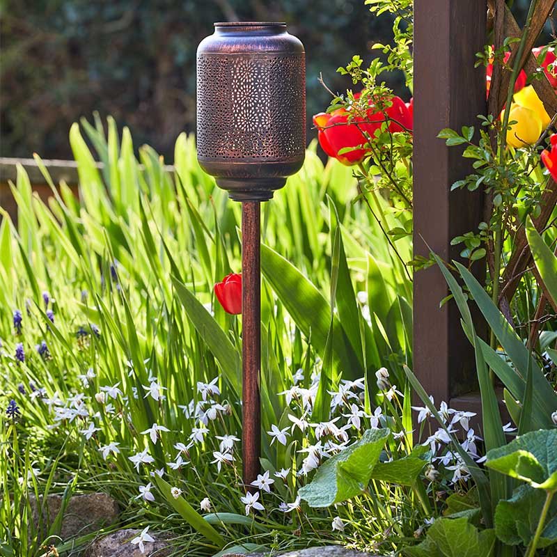 Torche Tunis Solaire – Image 3