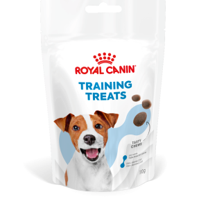 TRAINING TREATS 110G