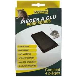 4 PIEGES SOURIS GLU
