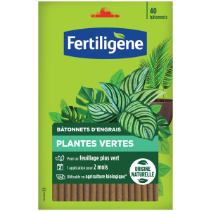 40 Bâtonnets d&rsquo;engrais plantes vertes