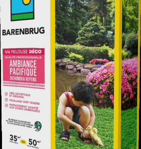 Ambiance pacifique – Dichondras repens 500g