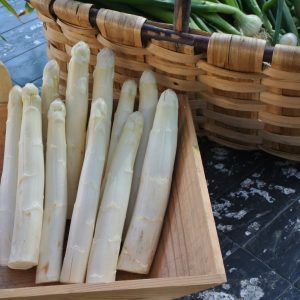 ASPERGES SUPER ARGENTEUIL – Clipack de 12unites