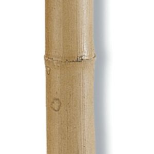 BAMBOO DECO 2m40