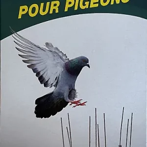 BOITE 1M PIC PIGEONS INOX