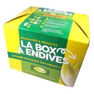 BOX A ENDIVES FR – Box de 12 à 16 racines