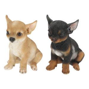 Chiot Chihuahua assis H19,3CM