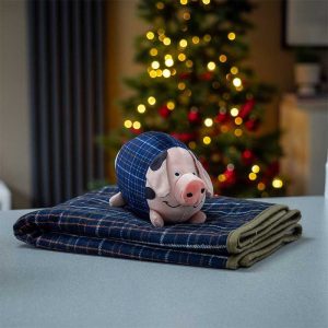 Doudou et couverture cochon